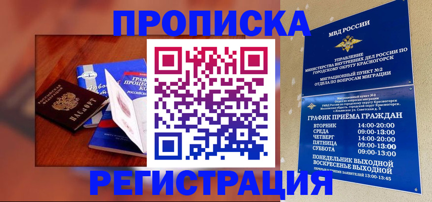 временная регистрация для школы в Благовещенске